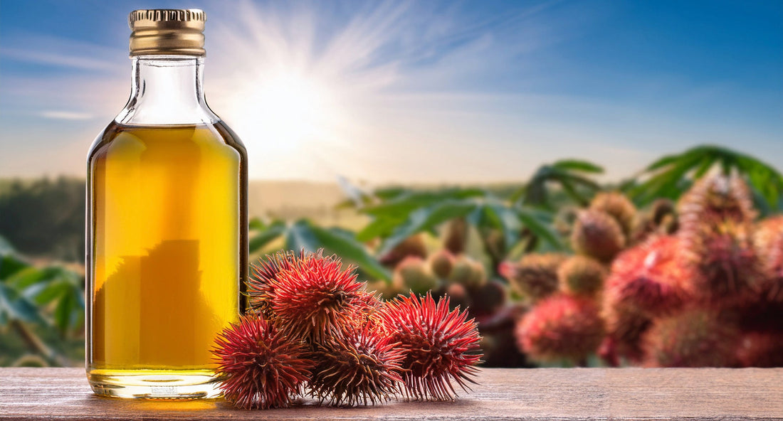 PurO3 Ozonated Miracle Oil: The Ancient Oil with Modern Benefits