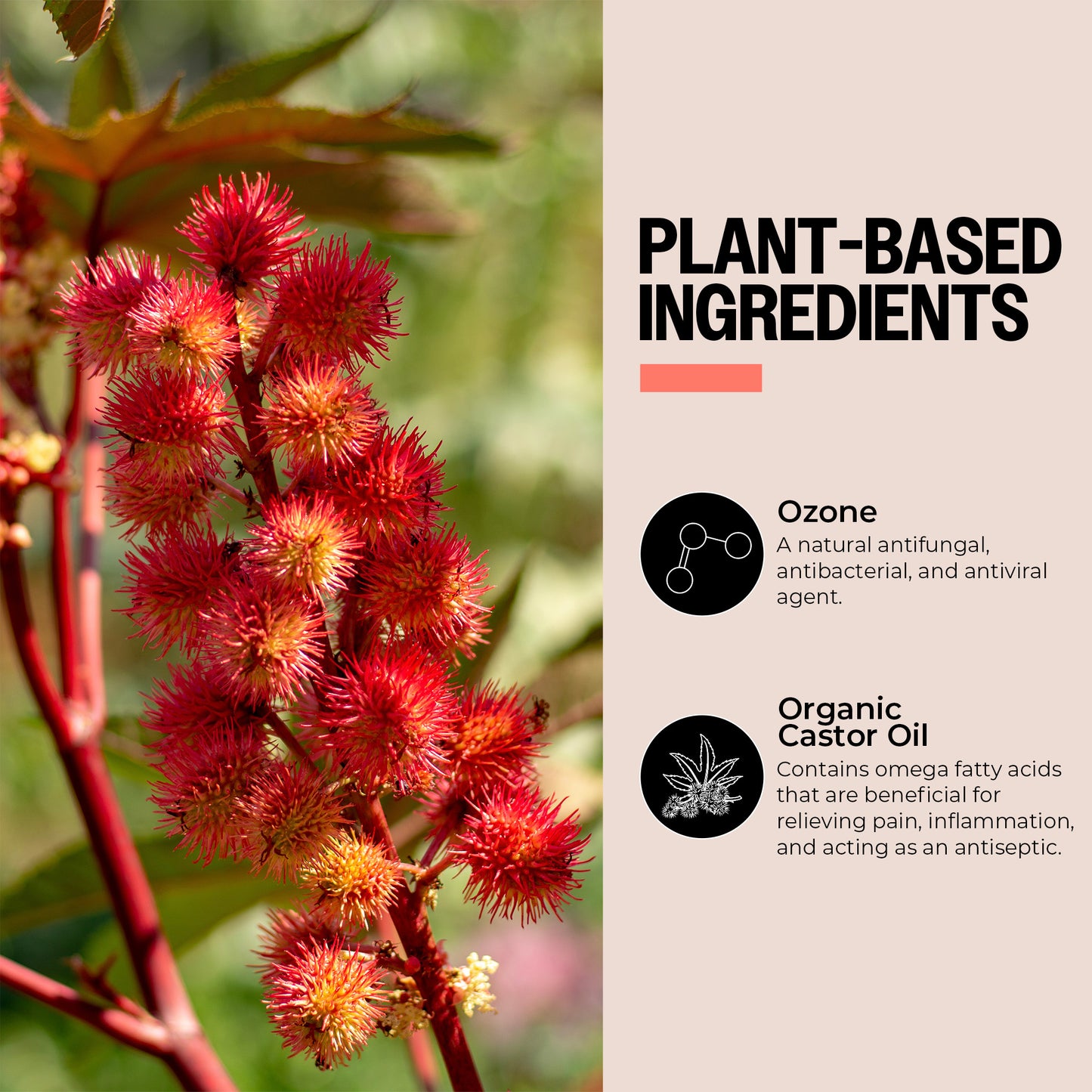 Ozone-Infused Castor Oil