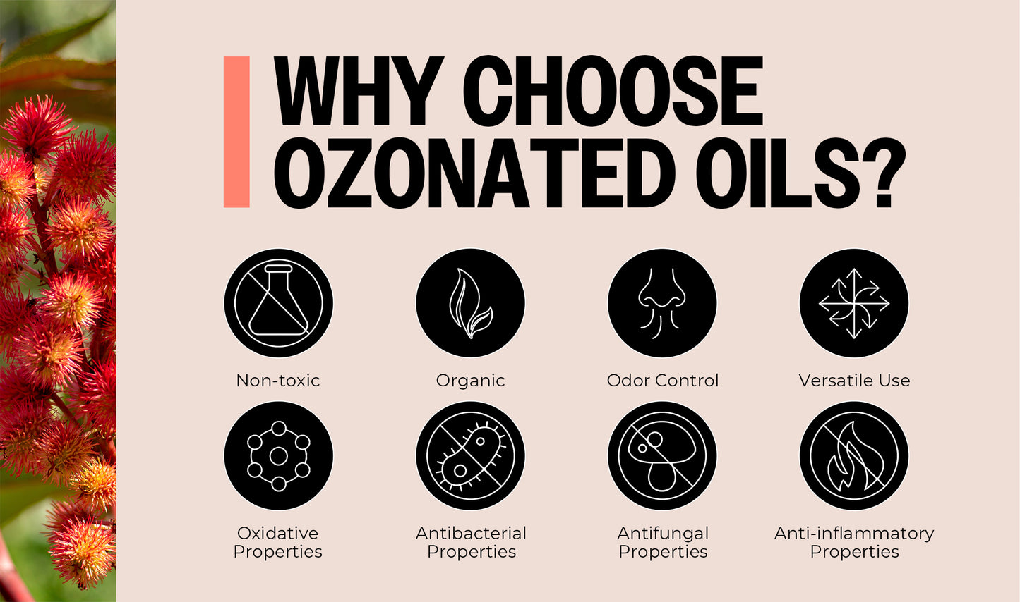 Infographic explaining why choose ozonated oils with icons and text on a beige background.