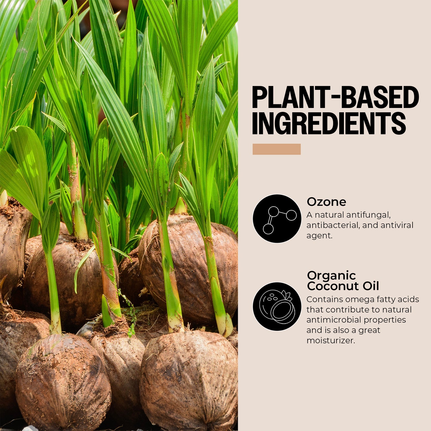 Plant Based Ingredients