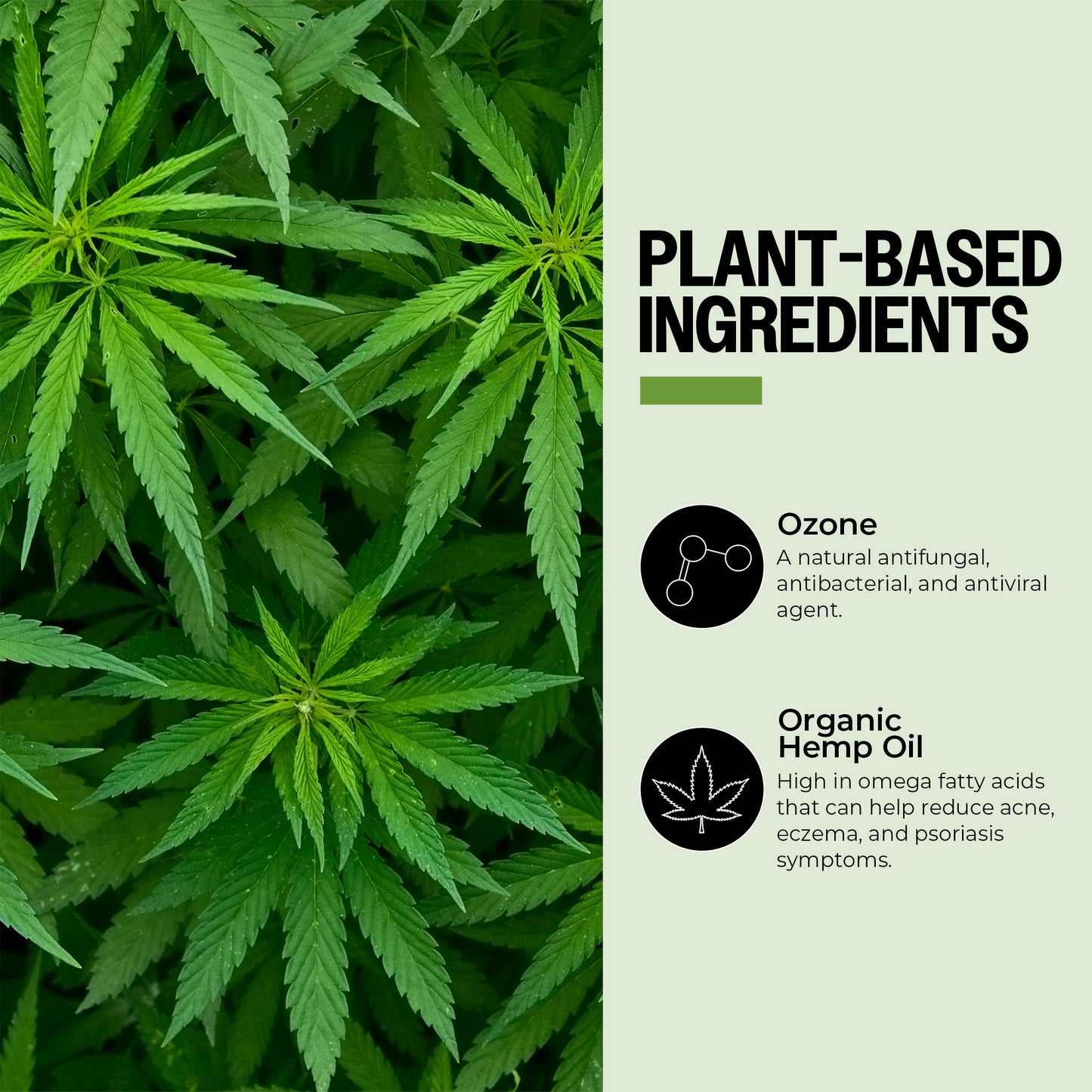 Ozone-Infused Hemp Oil
