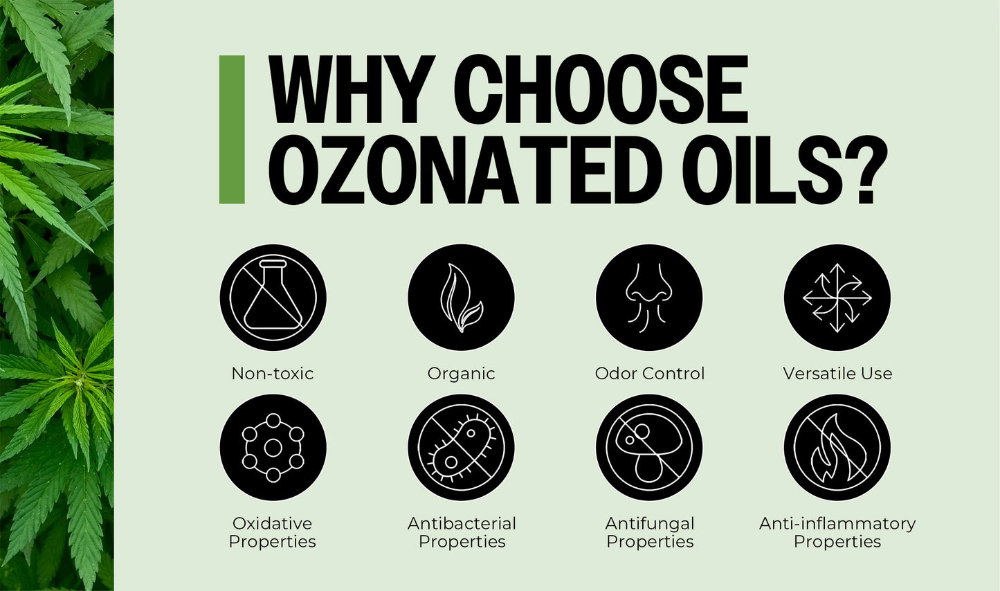 Ozone-Infused Hemp Oil