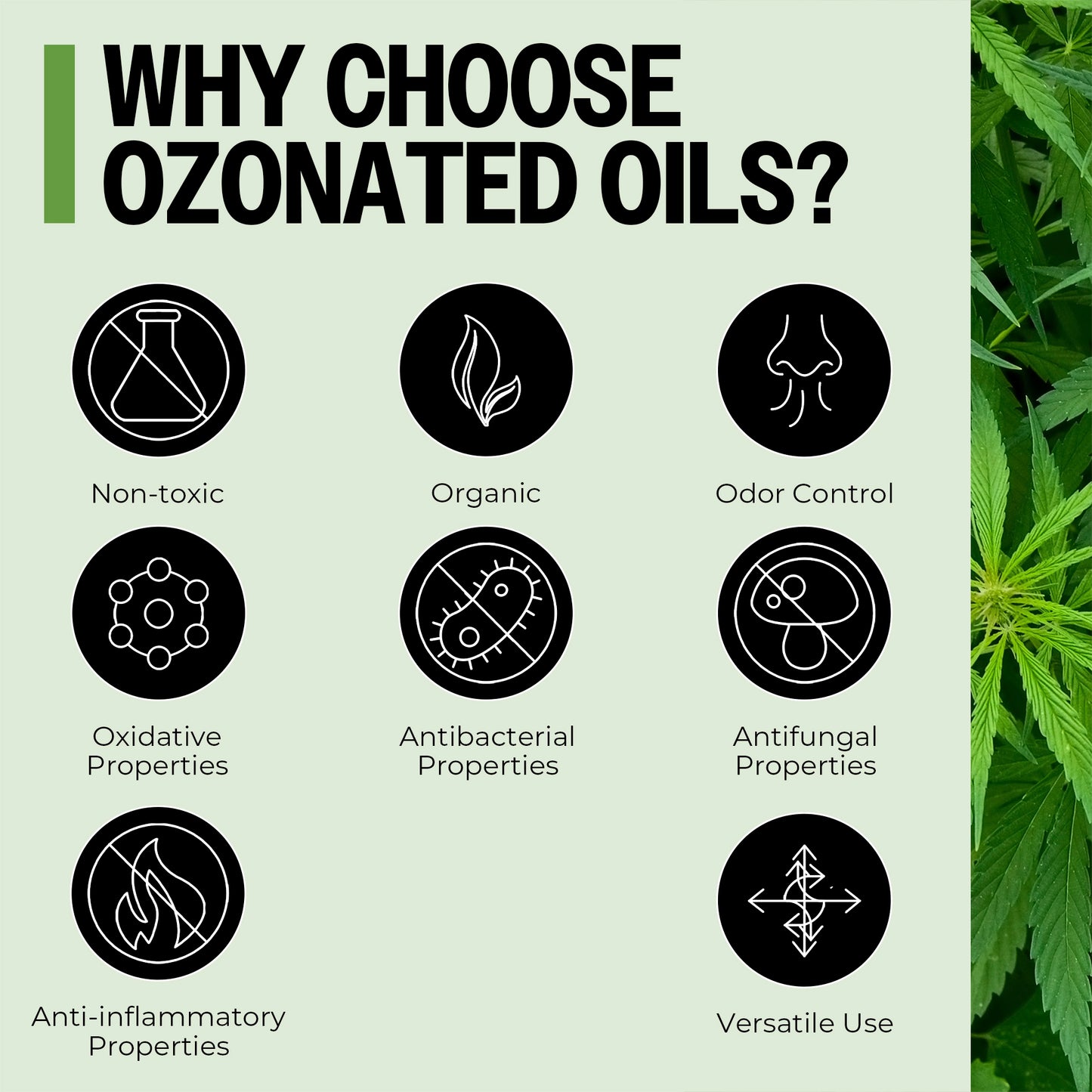 Ozone-Infused Hemp Oil Capsules