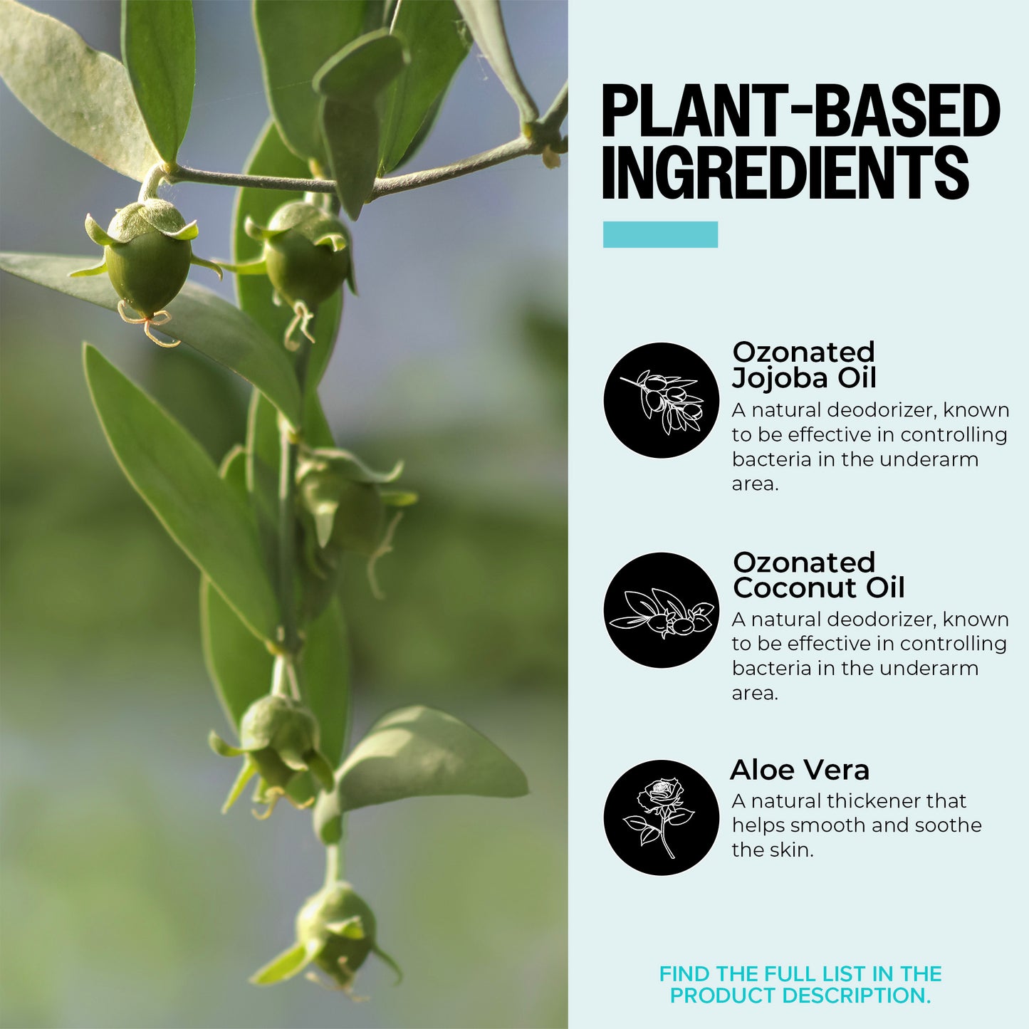 Ozone-Infused Jojoba Oil Roll On Deodorant - Unscented