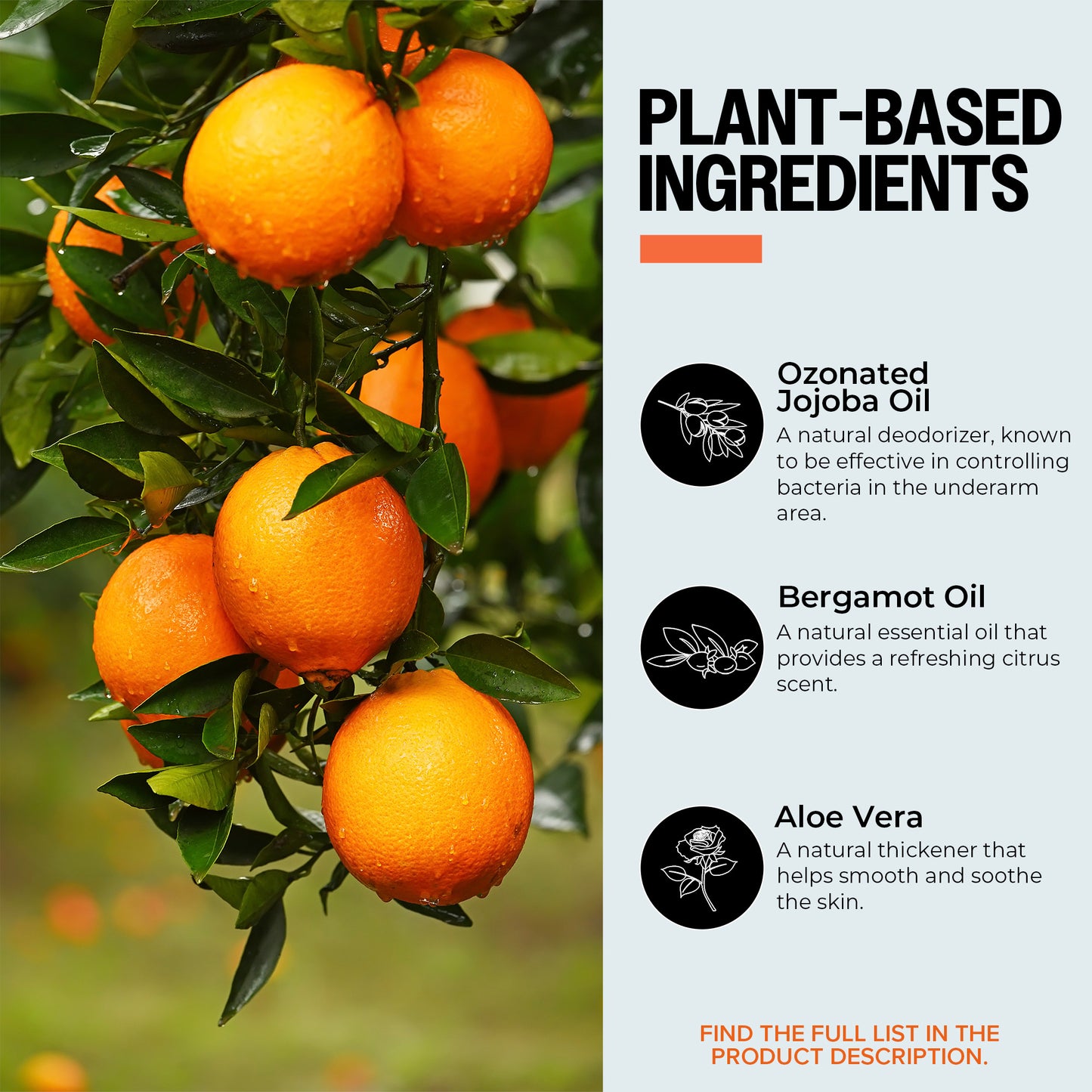 Oranges on a tree with plant-based ingredients list on the right