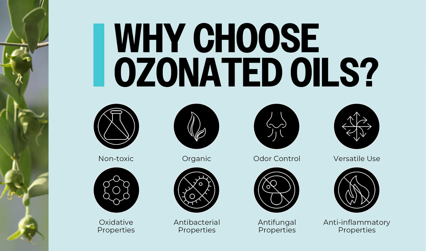 Ozone-Infused Jojoba Oil
