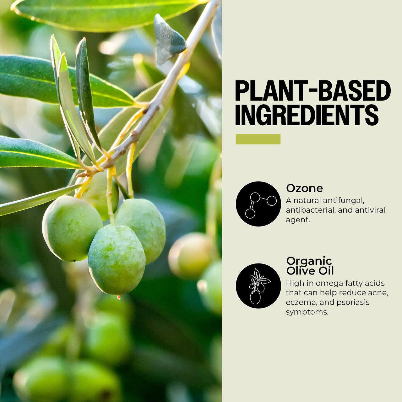 Plant Based Ingredients