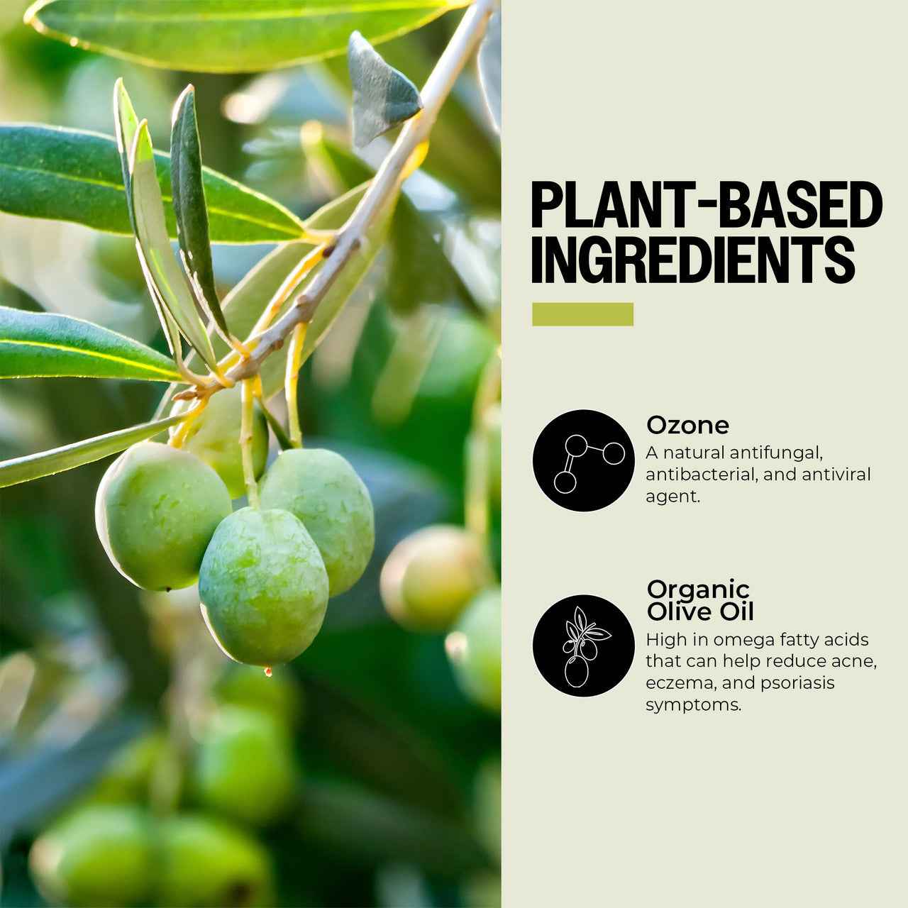 Ozone-Infused Olive Oil