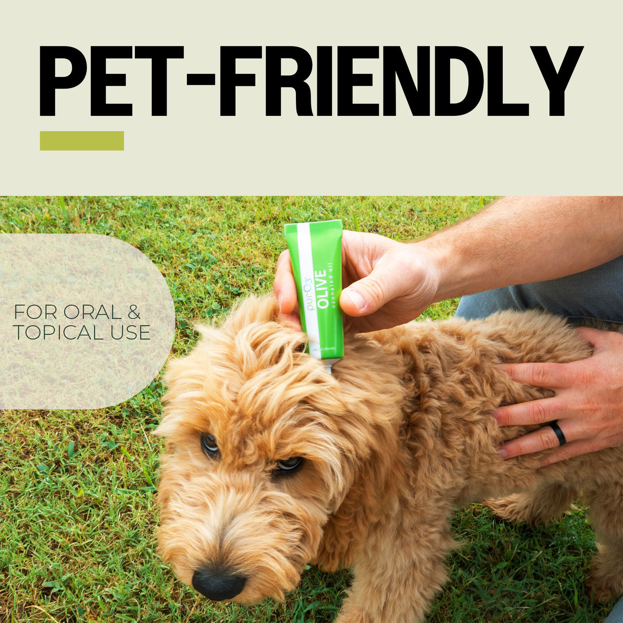 Pet Friendly