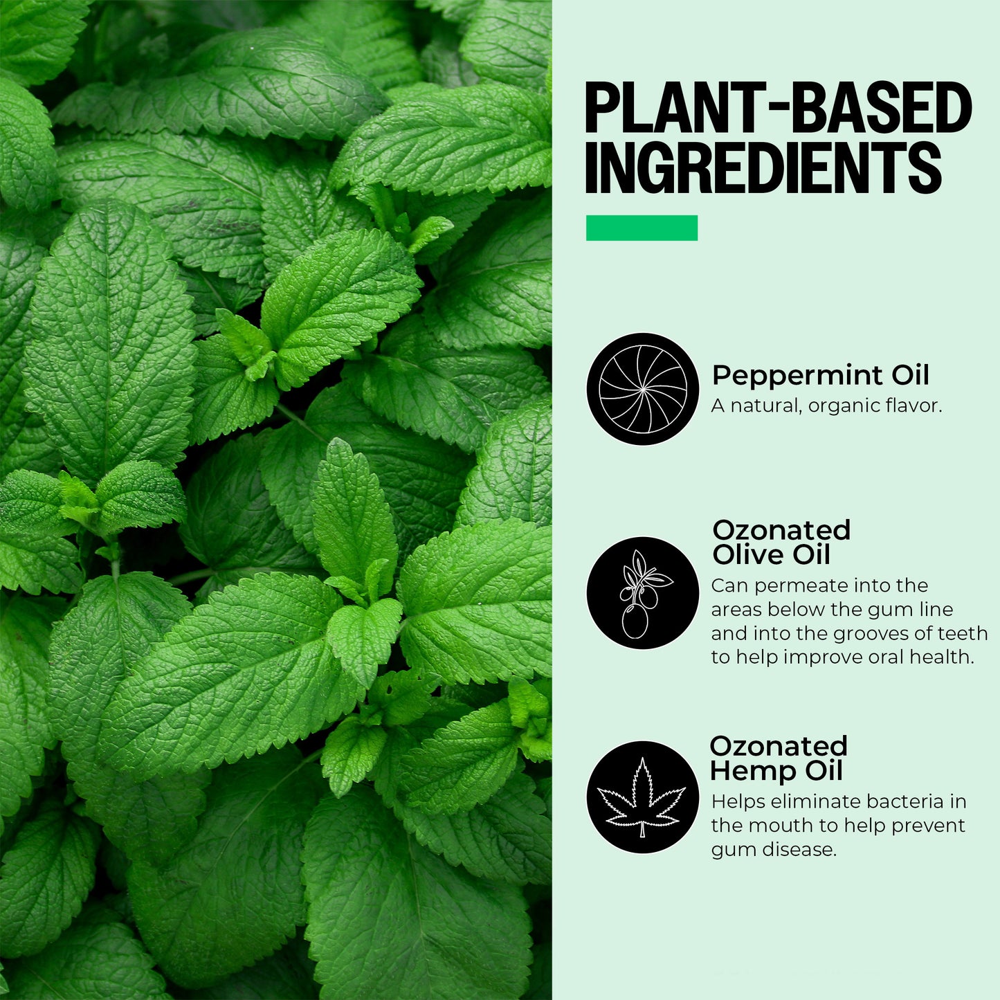 Complete Oral Care Set