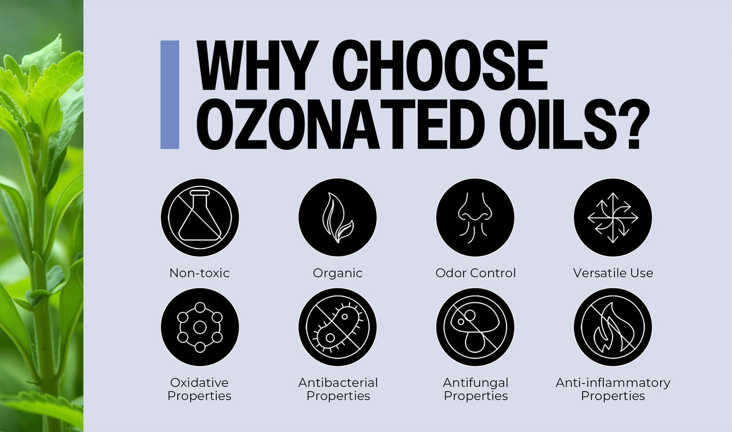 Infographic explaining benefits of using ozonated oils with icons and text.
