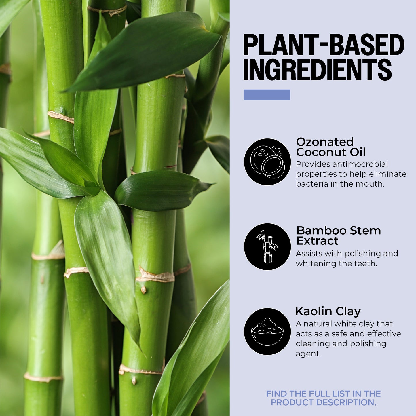 Bamboo plant with text on plant-based ingredients and their benefits.