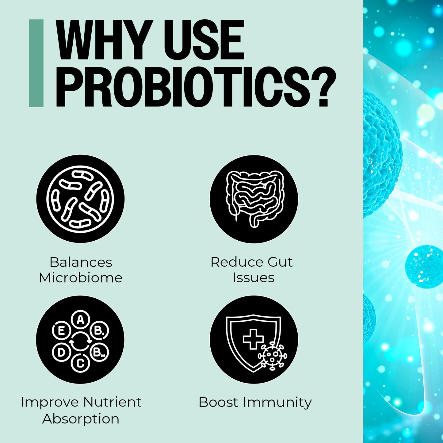Probiotic Suppositories