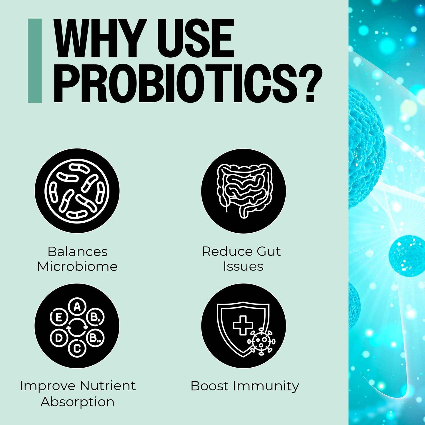 Probiotic Suppositories