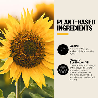 Ozone-Infused Sunflower Oil
