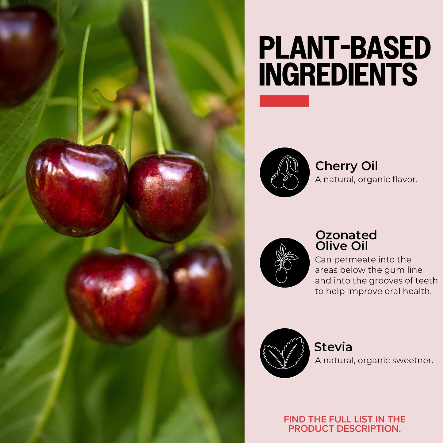 Ozone-Infused Tooth and Gum Support - Cherry/Stevia
